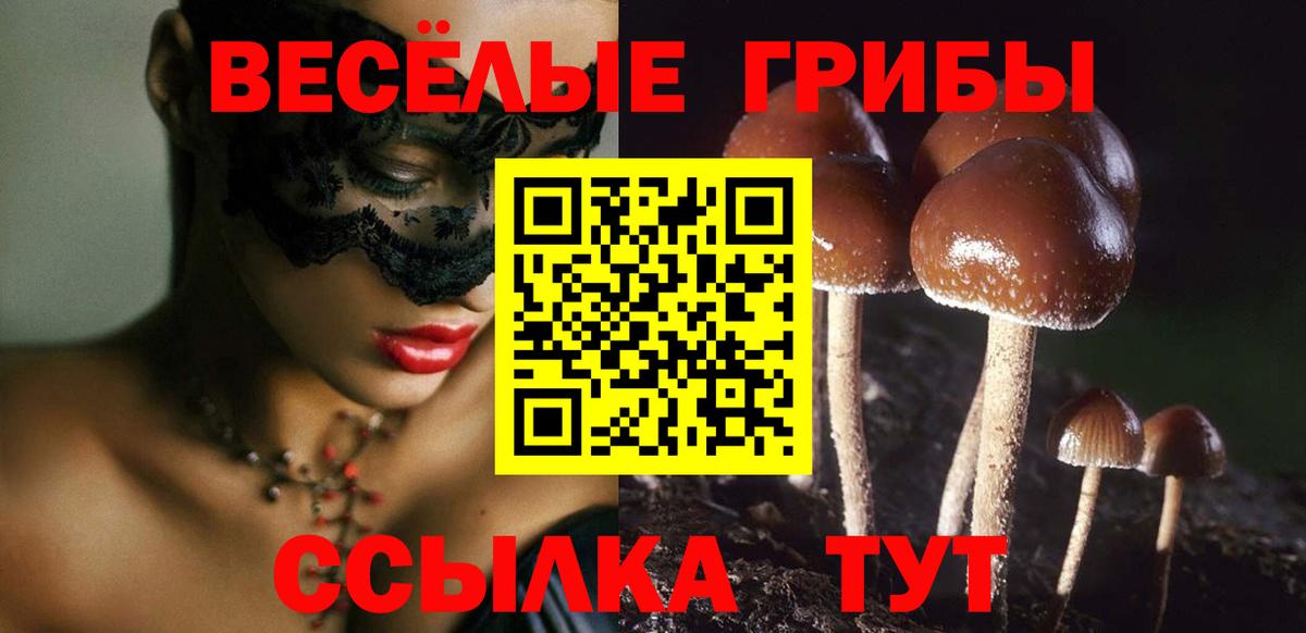 Псилоцибиновые грибы Psilocybe  Вход с VPN  Сосновоборск 